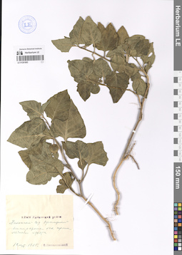LE 01201893