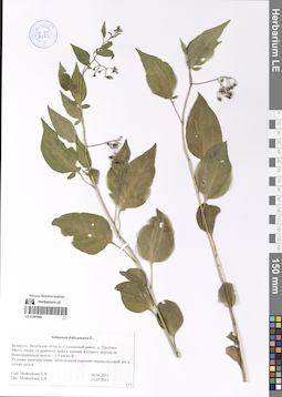 LE 01201895