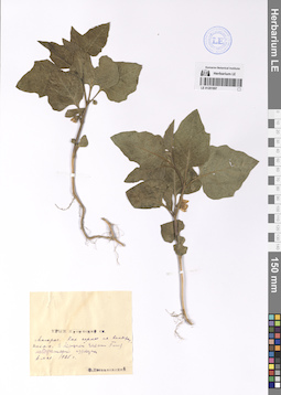 LE 01201897