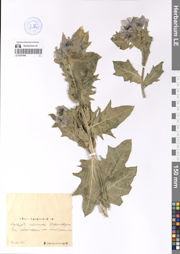 LE 01201900