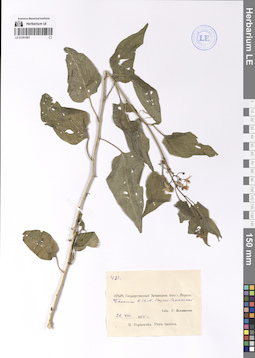 LE 01201907