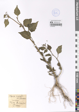 LE 01201910