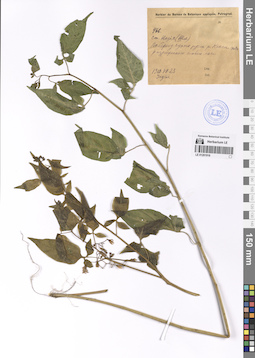 LE 01201916