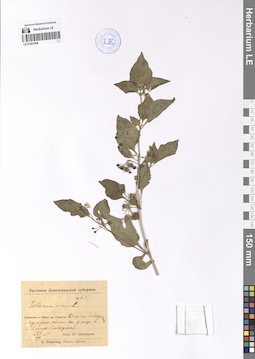 LE 01201958