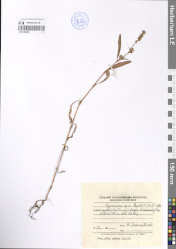 LE 01204985