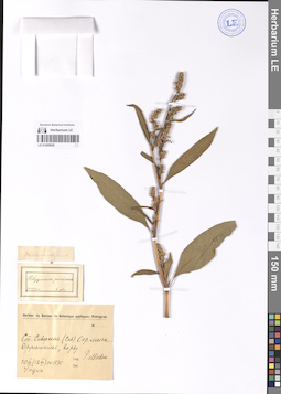 LE 01205620