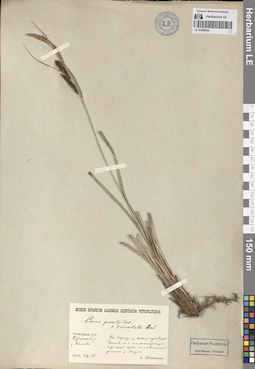 LE 01289024