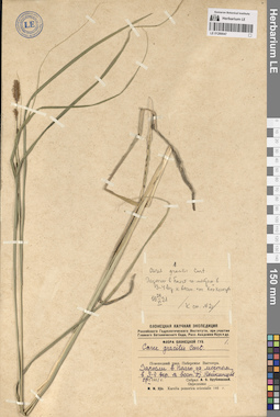 LE 01289047