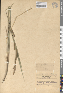 LE 01289048