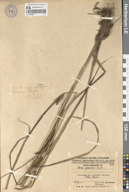 LE 01289069