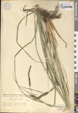 LE 01289141