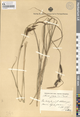 LE 01289184