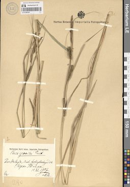 LE 01289195