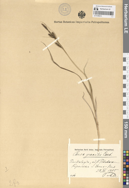 LE 01289214