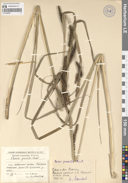 LE 01289240