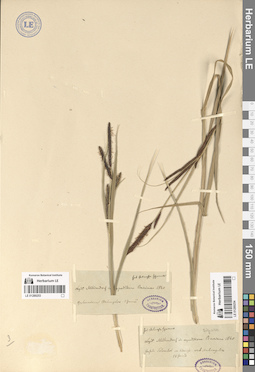 LE 01289254