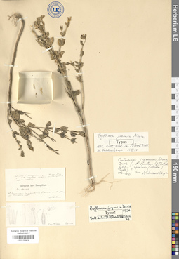LE 01036414
