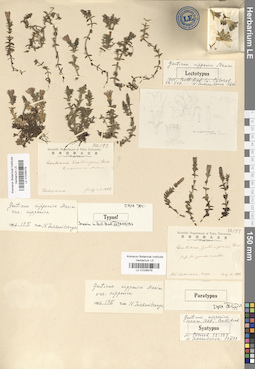 LE 01036478
