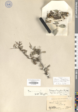 LE 01025726