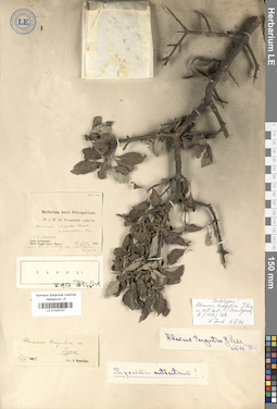 LE 01025727