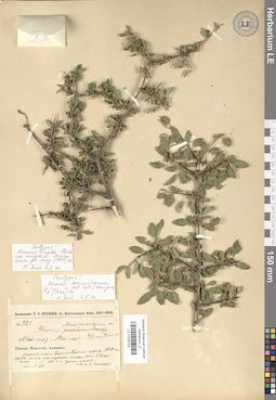 LE 01025733