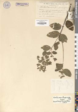 LE 01025834