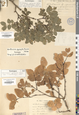 LE 01025836