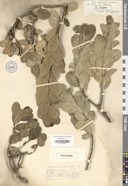 LE 01025837
