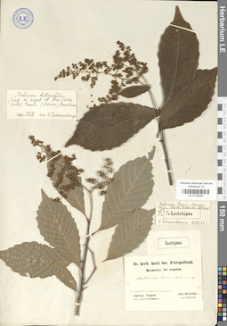 LE 01025484