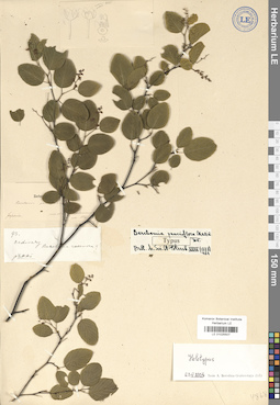 LE 01025507