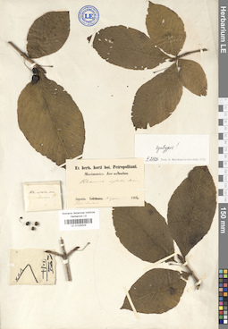 LE 01025529
