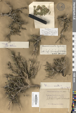 LE 01025710