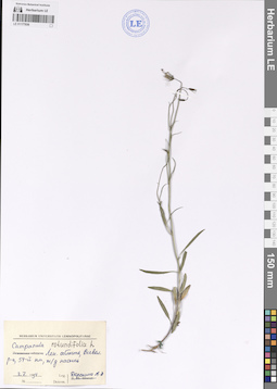 LE 01177936