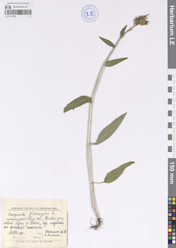 LE 01177938