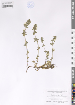 LE 01178076