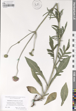 LE 01178111