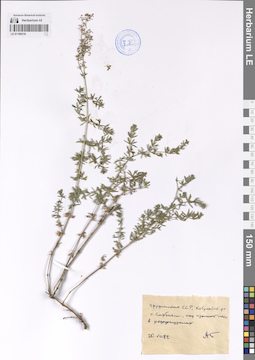 LE 01189318