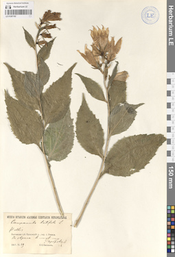 LE 01207192