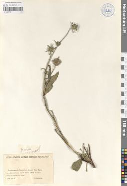 LE 01207193