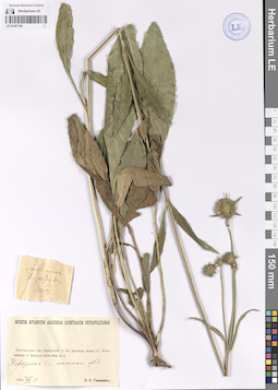 LE 01207195