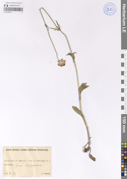 LE 01207197