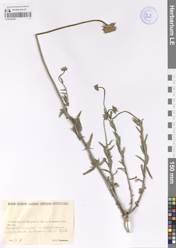 LE 01207203