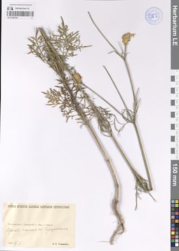 LE 01207225