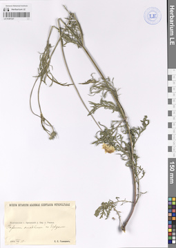 LE 01207227