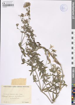 LE 01207231
