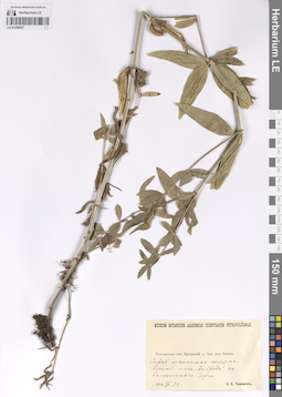 LE 01208047