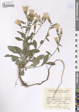 LE 01208081