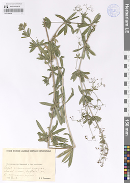 LE 01208109