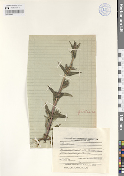 LE 01208903