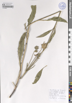 LE 01209042